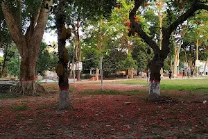 Joypara College Playground image