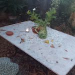 Photo n°2 de l'avis de Sandra.e fait le 16/08/2023 à 07:45 sur le  Osteria dell'Usignolo à Ghezzano