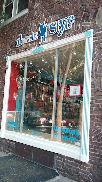 Doggie Style Pets Pine - Photo 7 - Car repair in Philadelphia, PA, Philadelphia