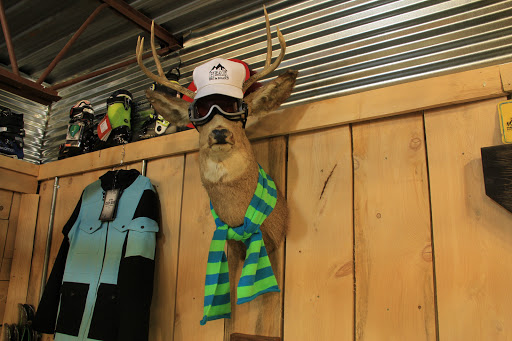 Snowboard Shop «Peak Ski & Snowboard Center», reviews and photos, 640 Center Rd, Pittsburgh, PA 15239, USA