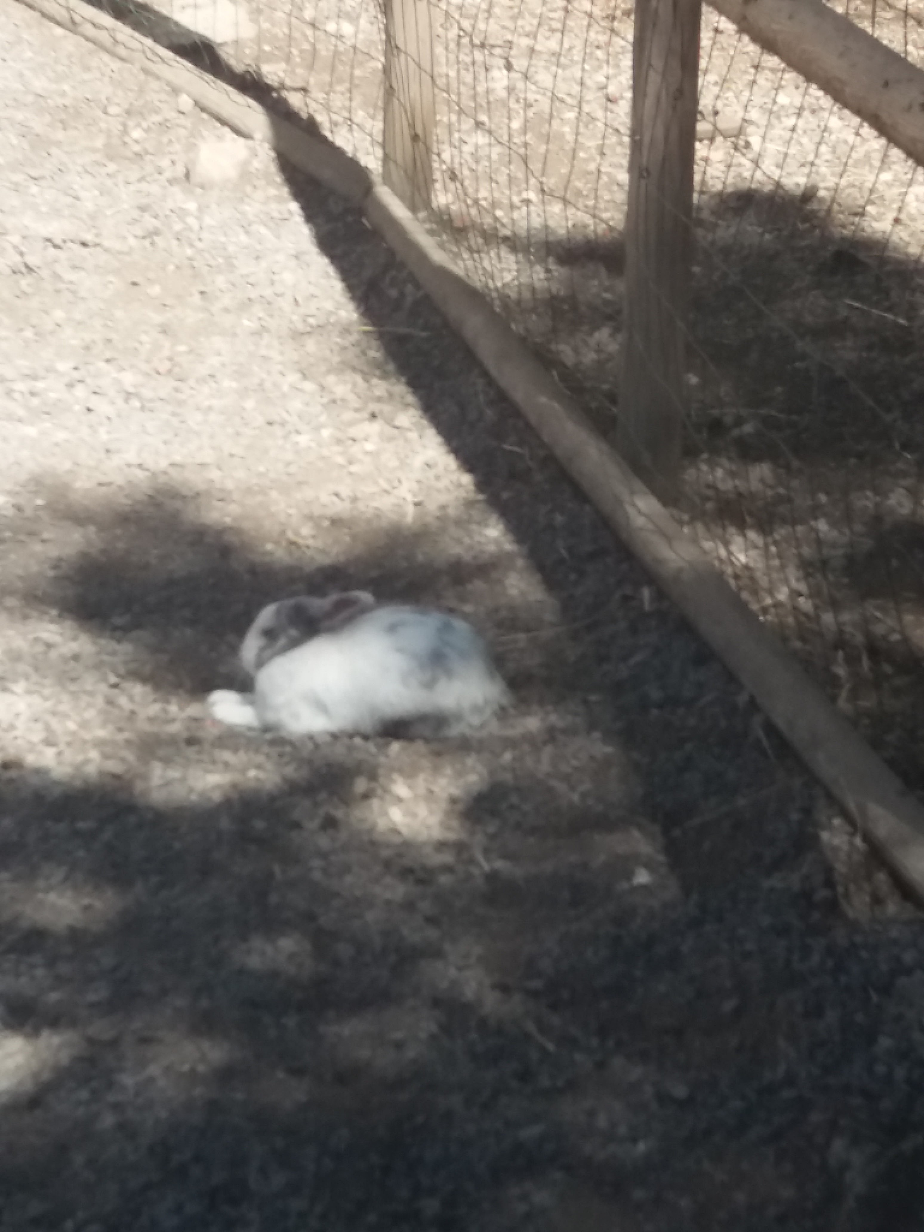 Photo n° 49 de l'avis de Damien.i fait le 21/08/2017 à 19:35