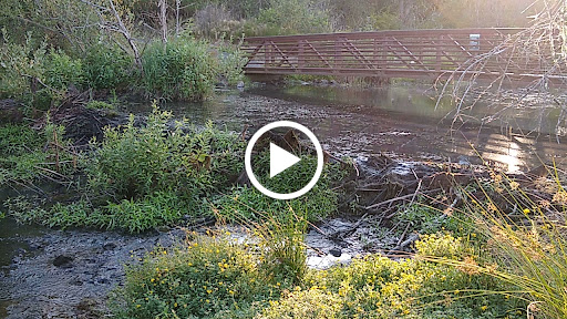 Nature Preserve «Beaverton Creek Wetlands Natural Area», reviews and photos, SW 153rd Dr, Beaverton, OR 97006, USA