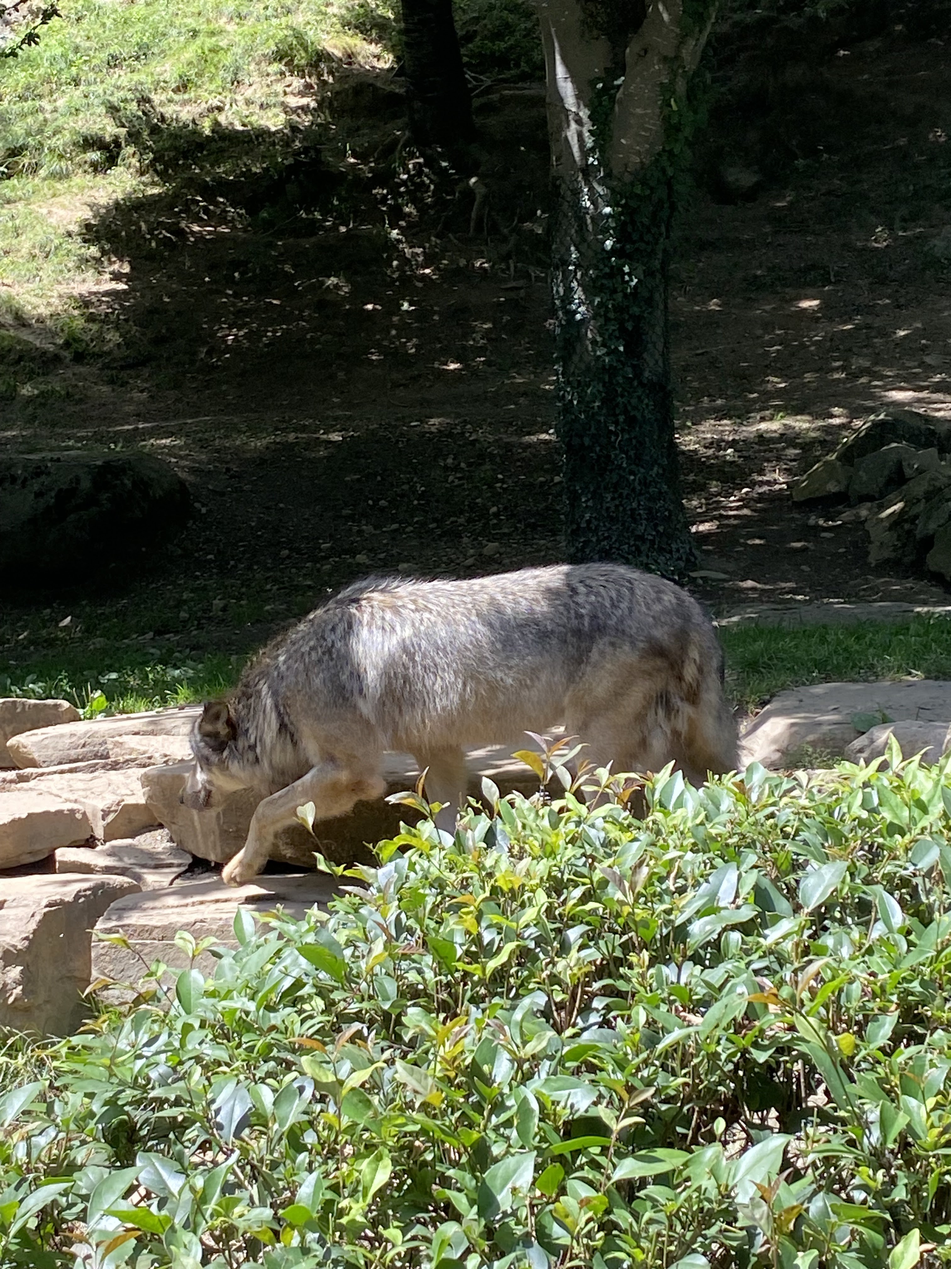 Photo n° 4 de l'avis de Nicolas.h fait le 09/08/2023 à 21:02