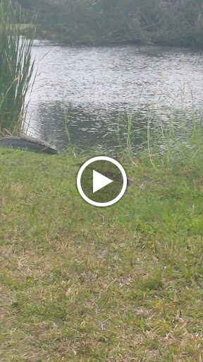 Nature Preserve «Grassy Waters Preserve», reviews and photos, 8264 Northlake Blvd, West Palm Beach, FL 33412, USA