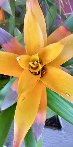 Coffee Shop «Mod Coffee House», reviews and photos, 2126 Postoffice St, Galveston, TX 77550, USA