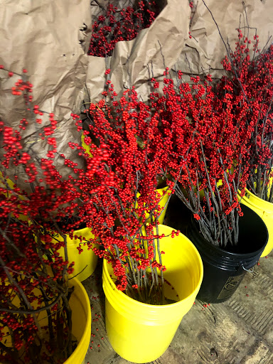 Florist «Sieck-Wright Floral Products», reviews and photos, 231 Monmouth St, Hightstown, NJ 08520, USA