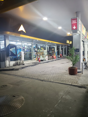 Opiniones de Estación de Servicio ANCAP en Paysandú - Gasolinera