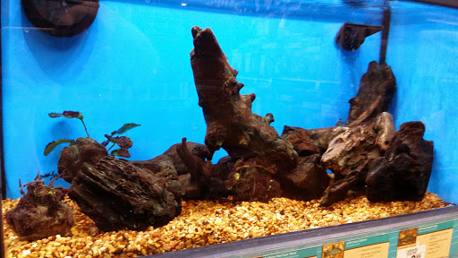 Pet Supply Store «Petco Animal Supplies», reviews and photos, 3975 Cascades Blvd #30, Kent, OH 44240, USA