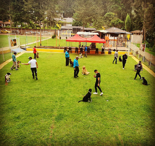 Opiniones de Guarderia canina Cepcan high performance dogs training en Otavalo - Guardería