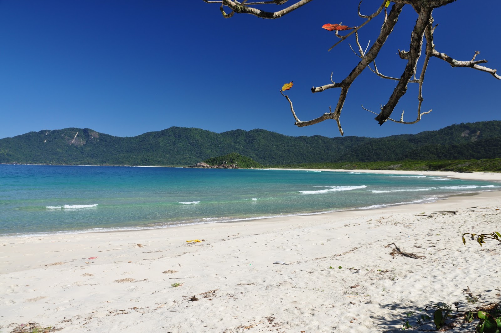 Photo de Praia do Leste avec sable fin et lumineux de surface