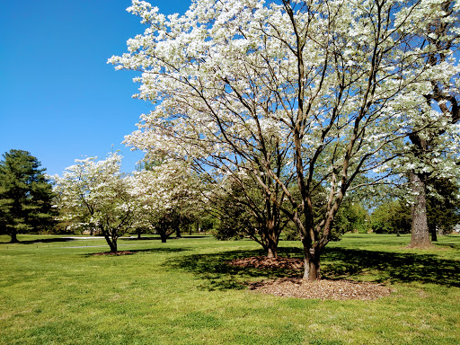 Country Club «Merchantville Country Club», reviews and photos, 501 Chapel Ave, Merchantville, NJ 08109, USA