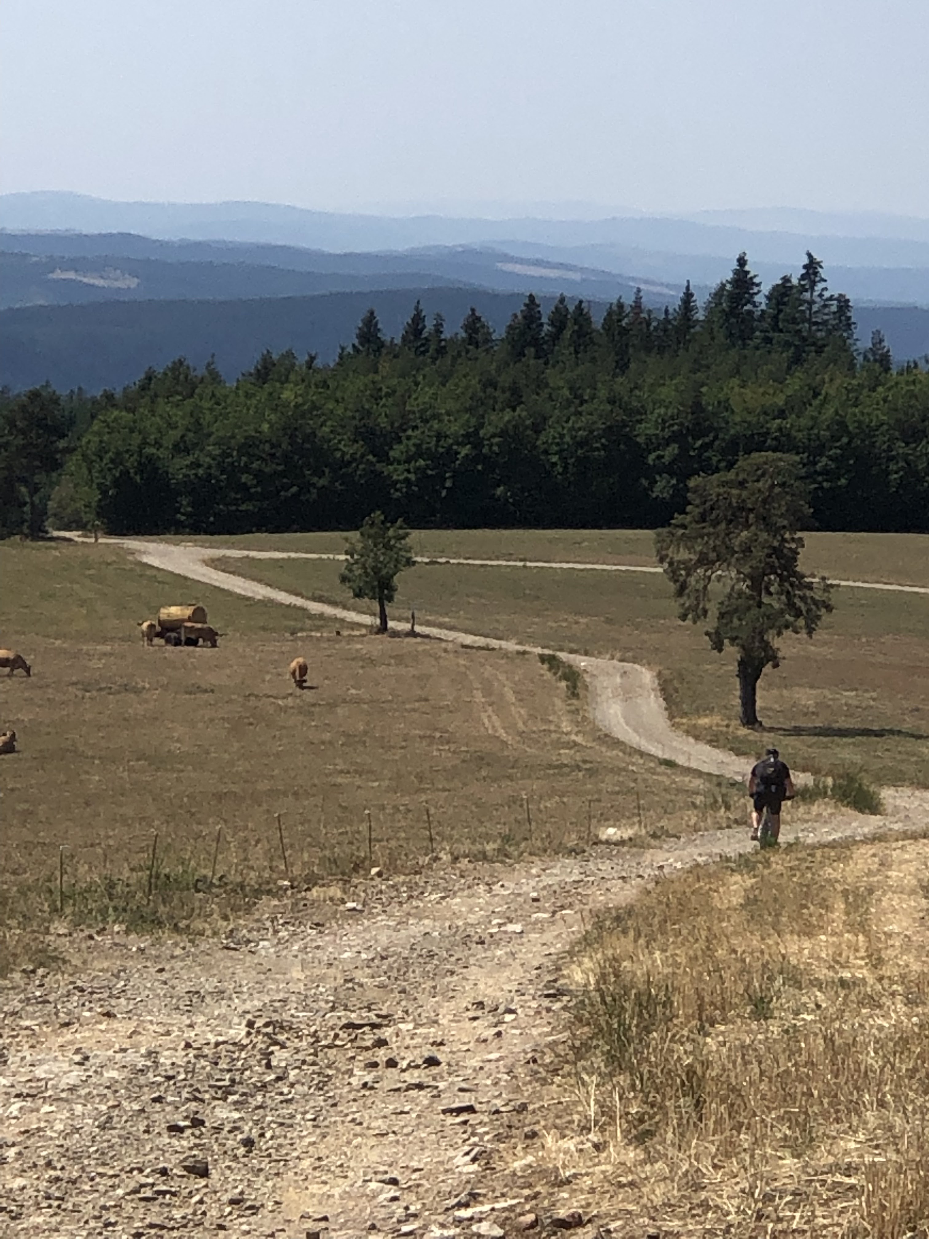 Photo n° 2 de l'avis de Mr.h fait le 14/08/2022 à 15:23