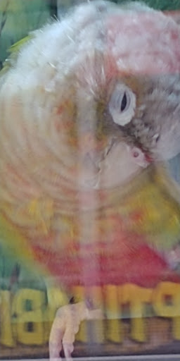 Pet Store «PetSmart», reviews and photos, 17150 Ventura Blvd, Encino, CA 91316, USA