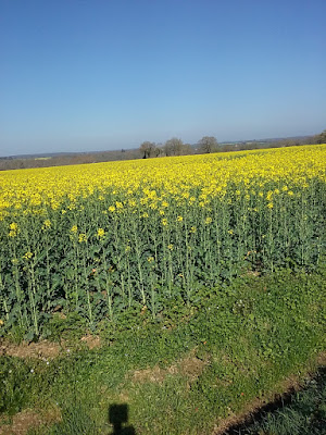 Bonnin Francois à Mers-sur-Indre