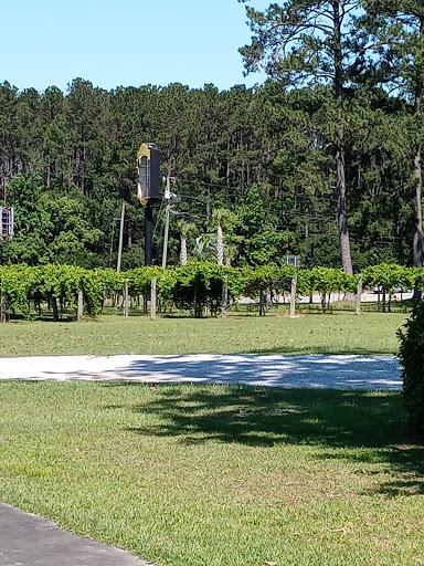 Vineyard «Chautauqua Vineyard & Winery», reviews and photos, 364 Hugh Adams Rd, Defuniak Springs, FL 32435, USA