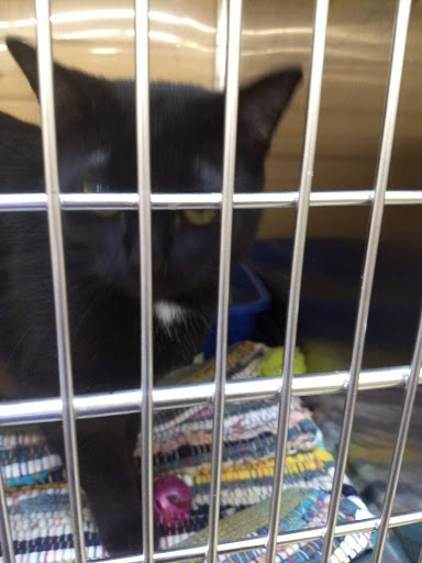 Pet Supply Store «PetSmart», reviews and photos, 8281 Troy Pike, Huber Heights, OH 45424, USA