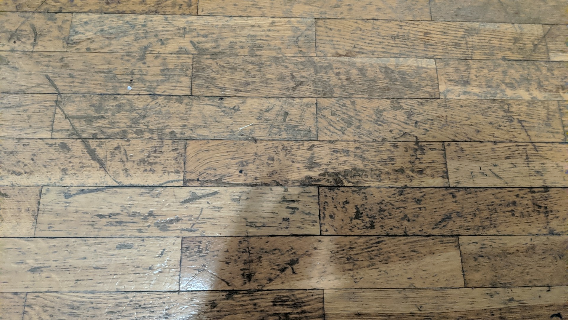 Photo n° 1 de l'avis de Roi.o fait le 18/07/2020 à 20:08