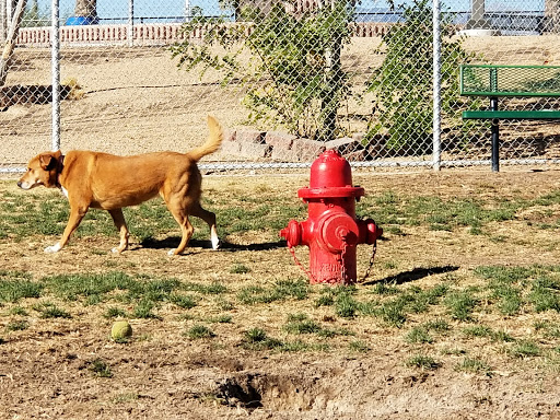 Park «Desert Breeze Park», reviews and photos, 8275 Spring Mountain Rd, Las Vegas, NV 89147, USA