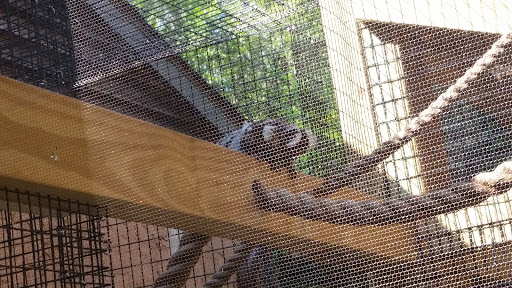 Golf Club «Stone Harbor Golf Club», reviews and photos, 905 U.S. 9, Cape May Court House, NJ 08210, USA