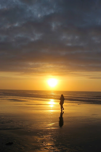 Roofing Contractor «Earl W. Johnston Roofing», reviews and photos, 5721 Dewey St, Hollywood, FL 33023, USA