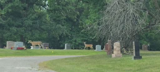 Florist «Thrifty Florist», reviews and photos, 26989 Woodward Ave, Huntington Woods, MI 48070, USA