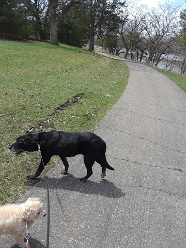 315 Merger St, Norwood Young America, MN 55368, USA