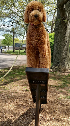 Park «Roosevelt Park», reviews and photos, Roosevelt Dr, Edison, NJ 08837, USA