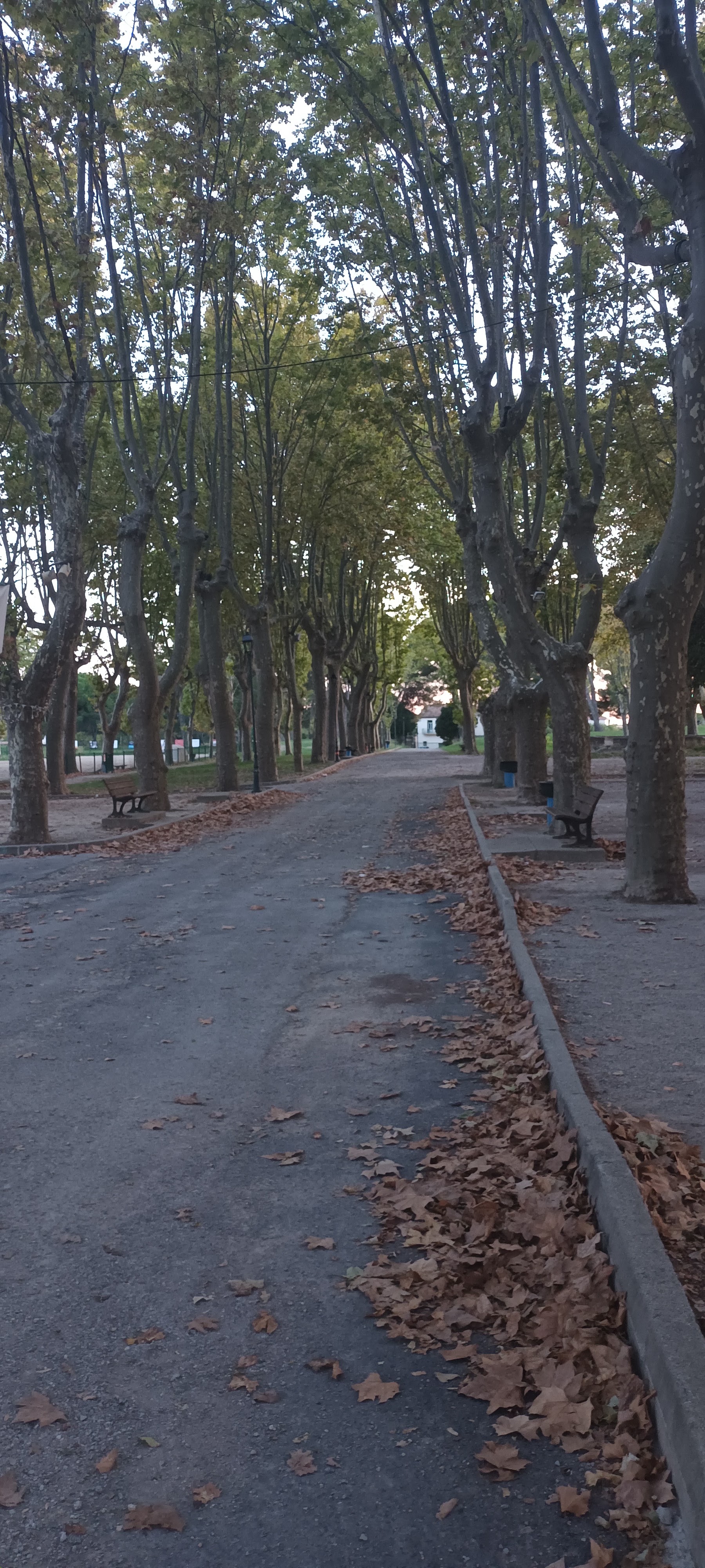 Photo n° 4 de l'avis de Ly. fait le 18/09/2022 à 20:59
