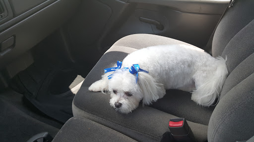 Pet Supply Store «PetSmart», reviews and photos, 1950 Jonesboro Rd, McDonough, GA 30253, USA