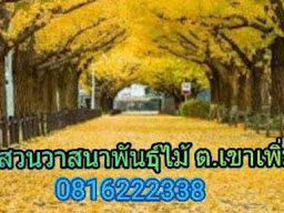 สวนวาสนาพันธุ์ไม้ต.เขาเพิ่ม