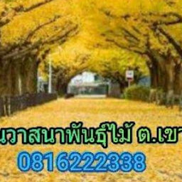 สวนลุงหวานพันธุ์ไม้