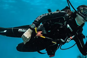 Future Experts Diving School - مدرسة خبراء المستقبل للغوص image