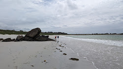 Plage de Treompan'in fotoğrafı vahşi alan