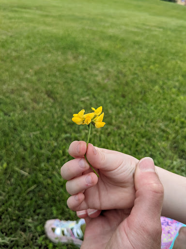 History Museum «Living History Farms», reviews and photos, 11121 Hickman Rd, Urbandale, IA 50322, USA