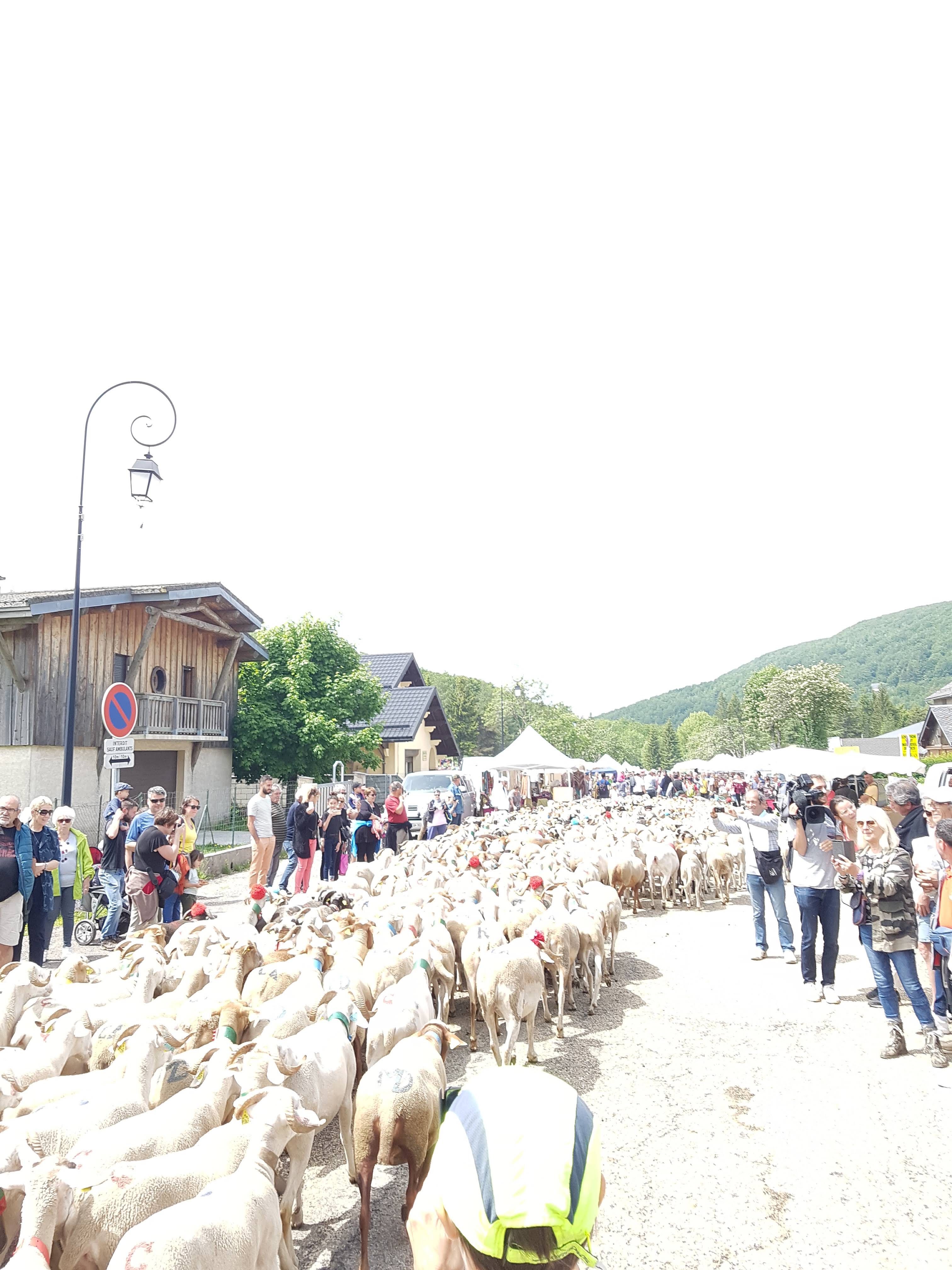 Photo n° 13 de l'avis de Valou.O fait le 11/08/2018 à 16:07