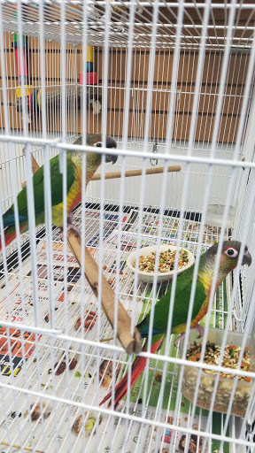 Pet Store «Adventure Birds of Bon Aqua», reviews and photos, 9600 TN-46, Bon Aqua, TN 37025, USA