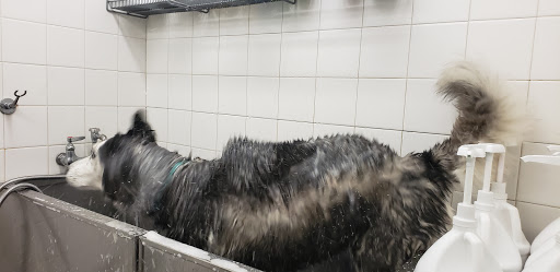 Pet Supply Store «Petco Animal Supplies», reviews and photos, 5850 Sepulveda Blvd, Van Nuys, CA 91411, USA