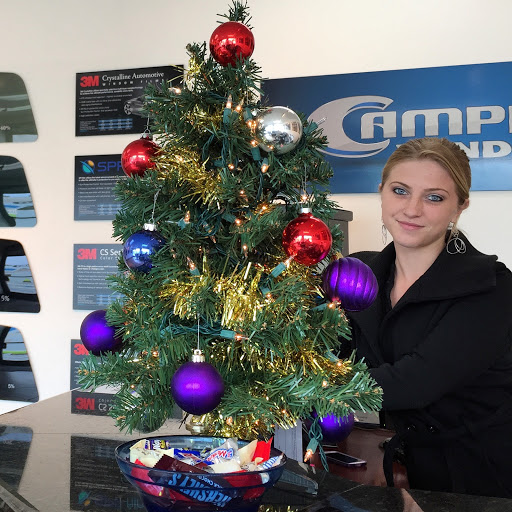 Campbell Window Film image