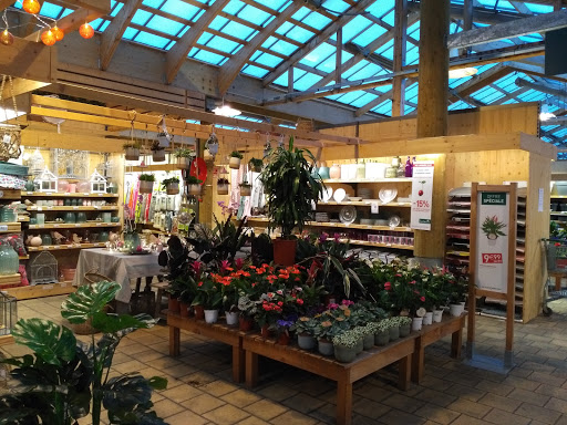 Magasins pour acheter des plantes de jardin Lyon