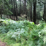 Photo n°6 de l'avis de Urs.l fait le 19/08/2020 à 06:49 sur le  Belchenhotel Jägerstüble oHG à Aitern