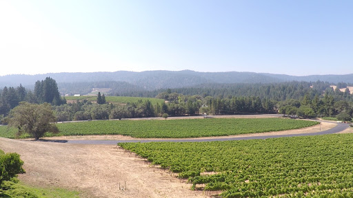 Winery «Roederer Estate», reviews and photos, 4501 CA-128, Philo, CA 95466, USA