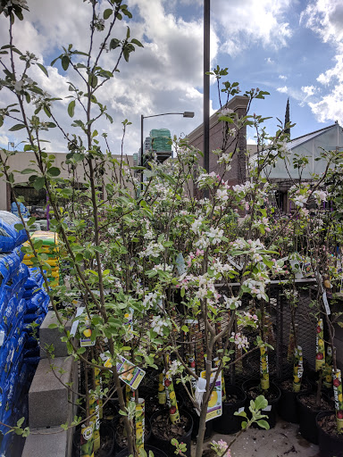 Sporting Goods Store «Academy Sports + Outdoors», reviews and photos, 16610 Southwest Fwy, Sugar Land, TX 77479, USA