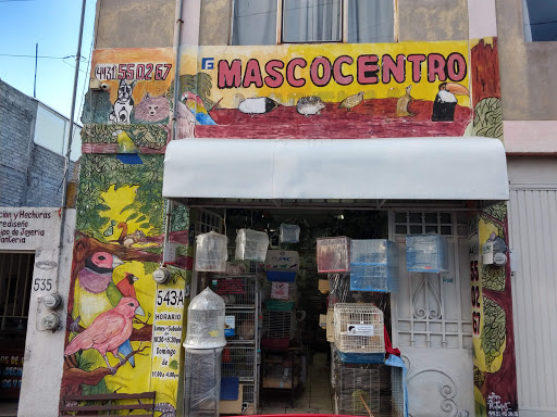 Mascocentro Morelia