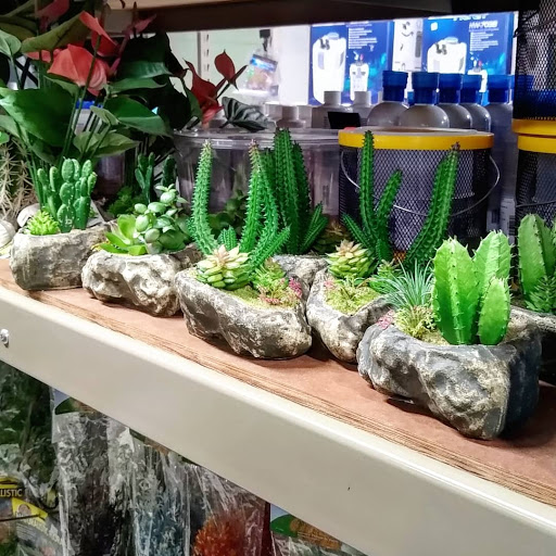 Pet Store «Gills And Thrills Pet Shop», reviews and photos, 204 E 8th St, Lockport, IL 60441, USA