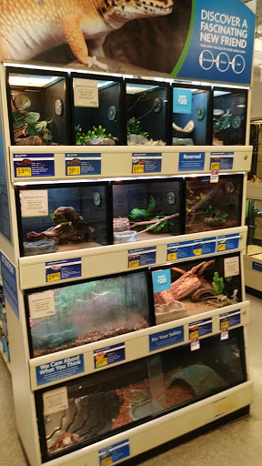 Pet Supply Store «PetSmart», reviews and photos, 2101 Elmwood Ave, Buffalo, NY 14207, USA