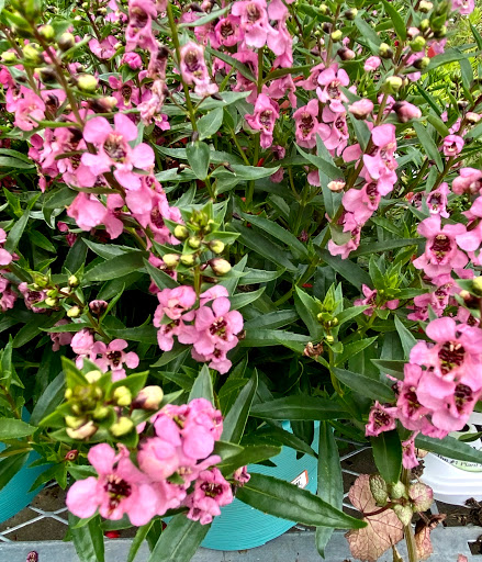 Home Improvement Store «The Home Depot», reviews and photos, 899 County St, Taunton, MA 02780, USA