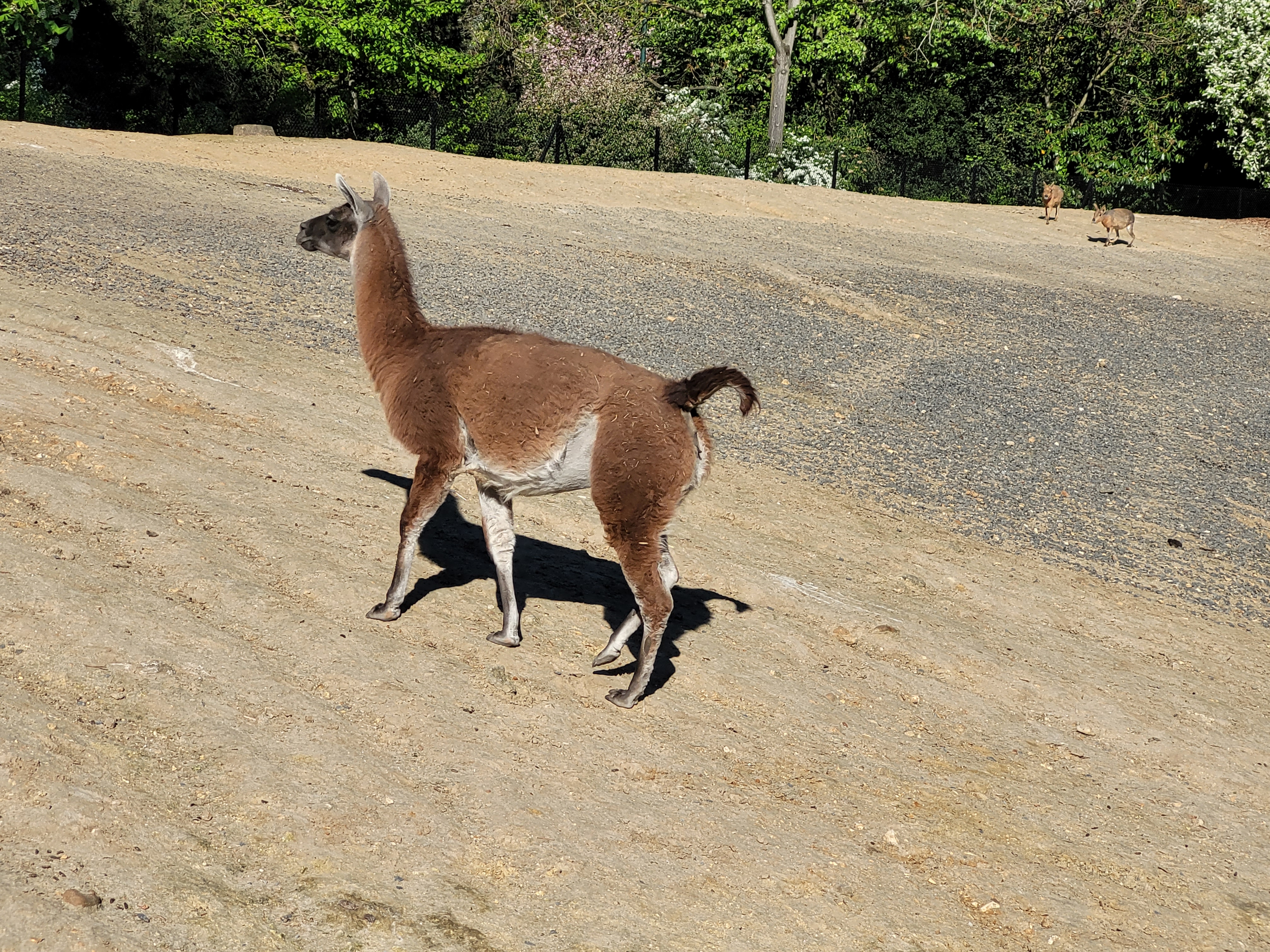 Photo n° 10 de l'avis de Nathalie.o fait le 17/04/2022 à 11:27