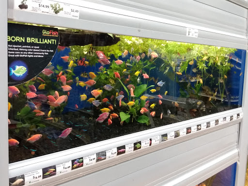 Pet Supply Store «Pet Supermarket», reviews and photos, 1800 W 68th St #140, Hialeah, FL 33014, USA