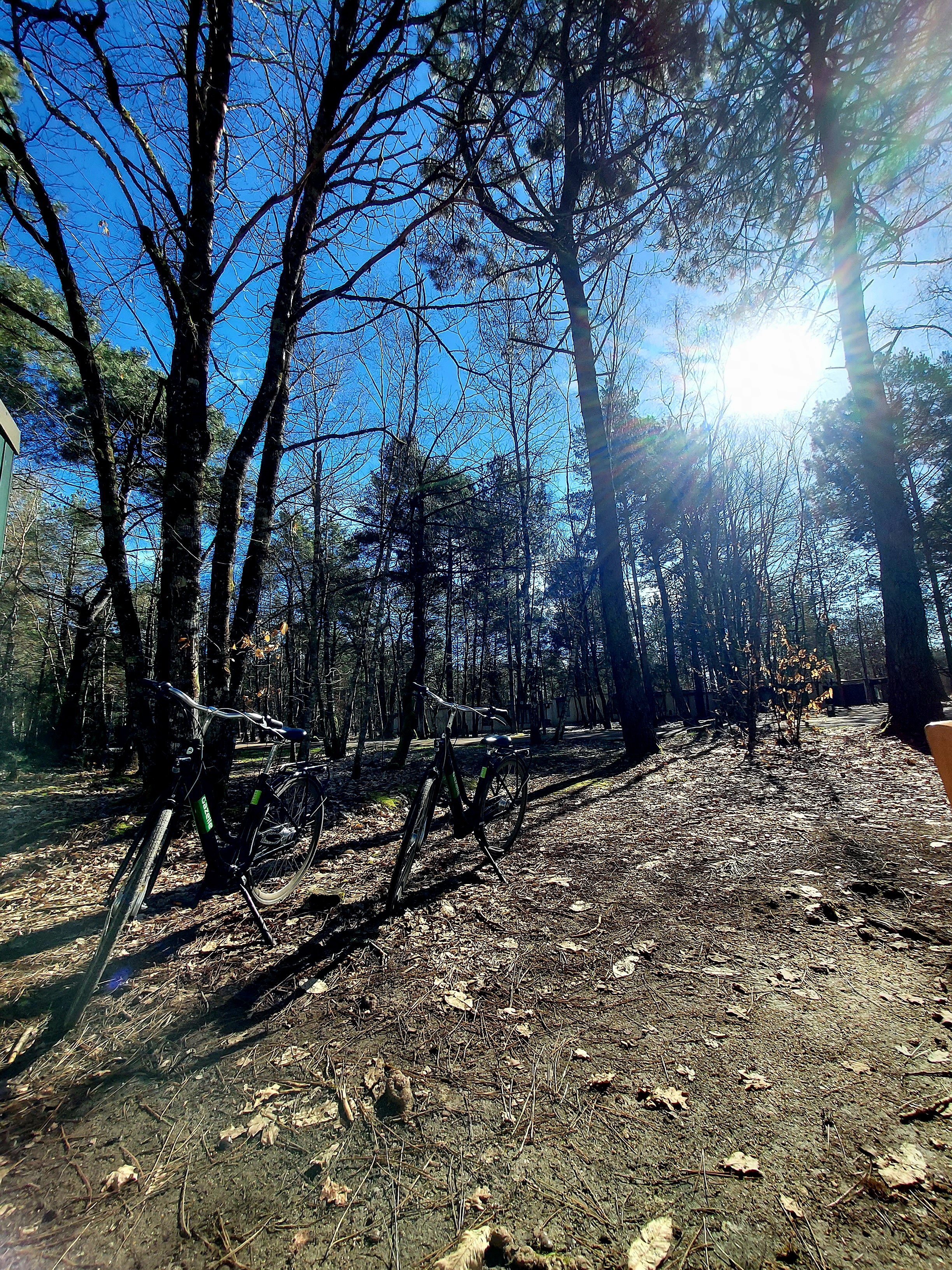 Photo n° 1 de l'avis de breton.a fait le 15/03/2024 à 15:16