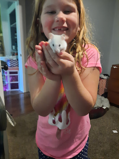 Pet Supply Store «Pet Partners», reviews and photos, 1962 W State St, Bristol, TN 37620, USA